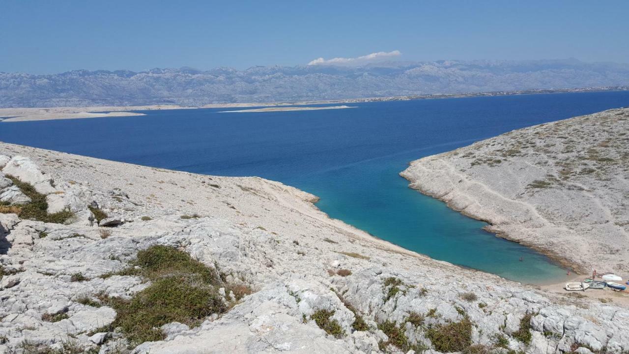 Haus Zarko Daire Vir Dış mekan fotoğraf